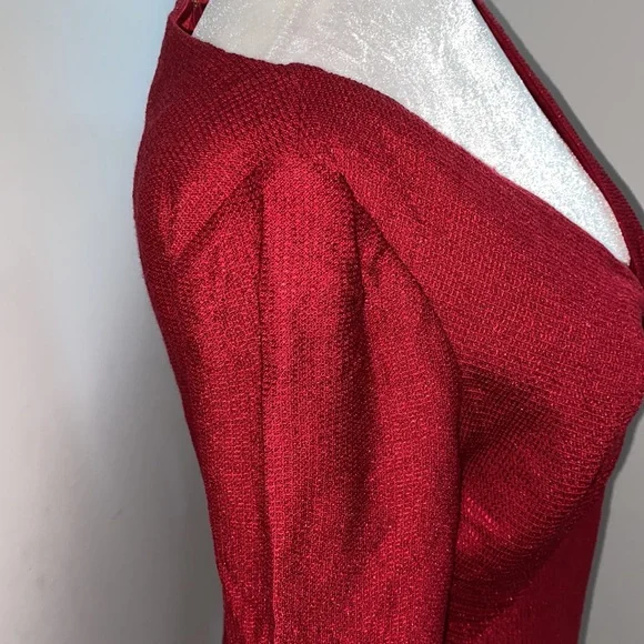 NWOT St John Evening Shimmer Long Sleeve Dress